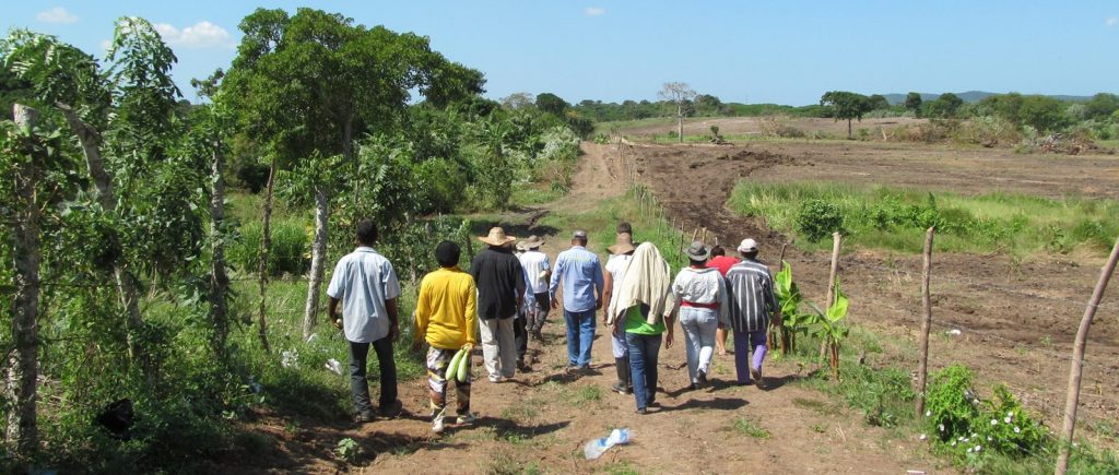 Colombia: solicitamos que se investiguen los asesinatos de líderes reclamantes de tierra