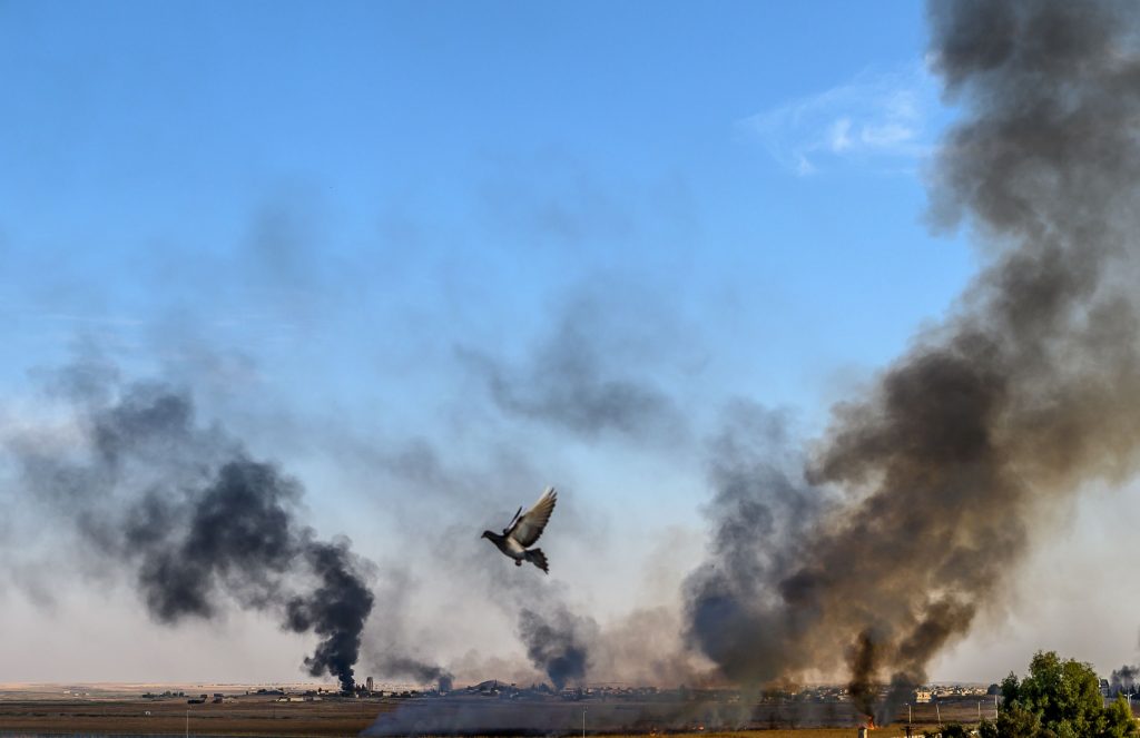 TOPSHOT - Smoke rises from the Syrian town of Tal Abyad, in a picture taken from the Turkish side of the border where a pigeon is seen in Akcakale on October 10, 2019, on the second day of Turkey's military operation against Kurdish forces. - Turkey has vowed to destroy the Syrian Kurdish People's Protection Units (YPG) which controls much of northeastern Syria, and set up a "safe zone" for the return of Syrian refugees. A total of 70 people were so far reported injured across Turkish areas. Families were evacuating and streets emptying in Akcakale, as local authorities called on people to take shelter. (Photo by BULENT KILIC / AFP) (Photo by BULENT KILIC/AFP via Getty Images)